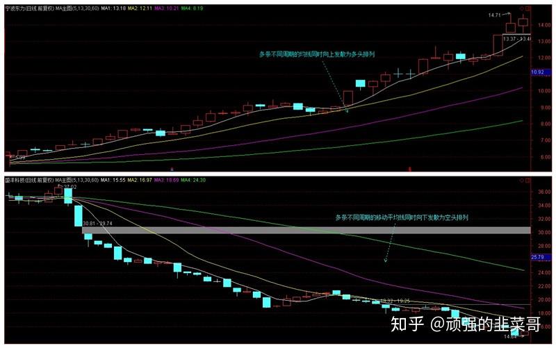 北京市市场监管局公布“铁拳”行动查办的典型案例