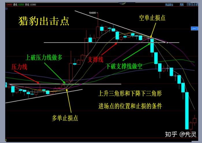 万物共生  和美永续