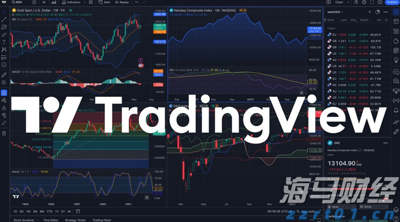 大桥海关查获一起走私濒危鱼翅出境案